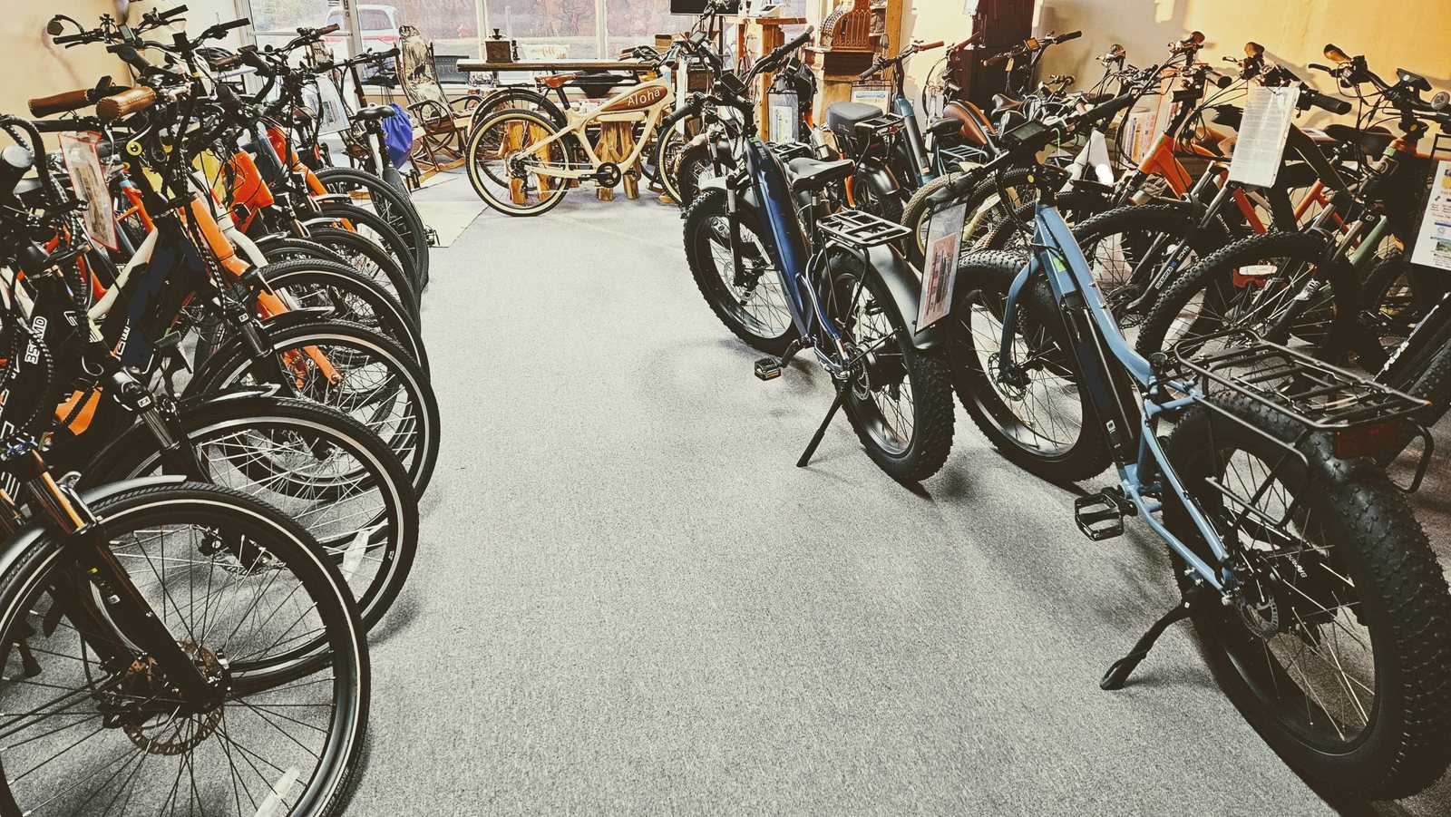 E-bikes lined up in the showroom