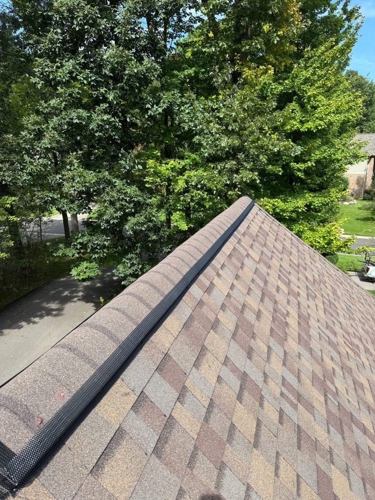 Ridge-Guard galvanized mesh installed along the ridge vent of a shingled roof