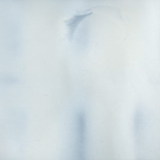 Pearl metallic color sample