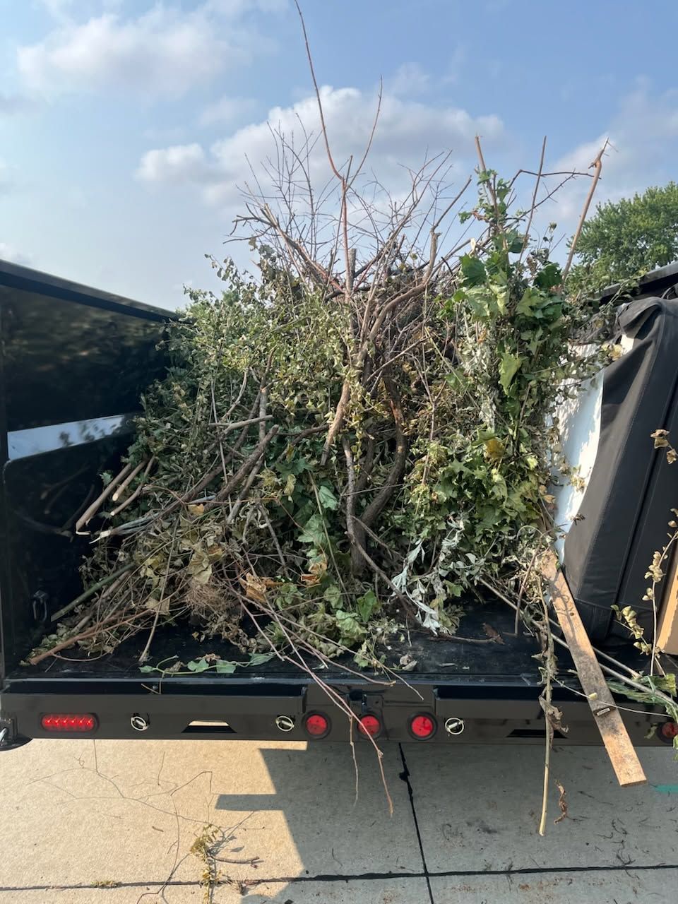 A dump trailer loaded high with branches and brush