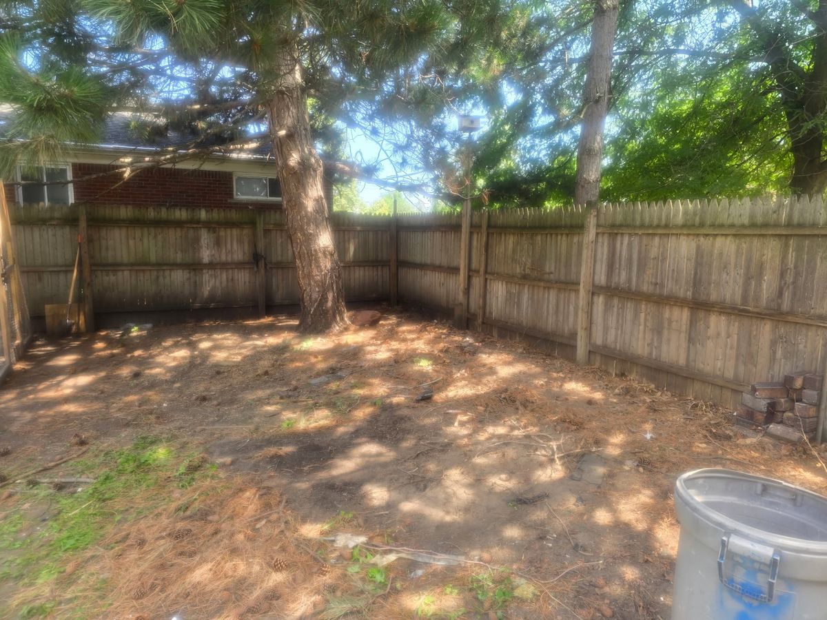 Backyard cleanout after cleaning