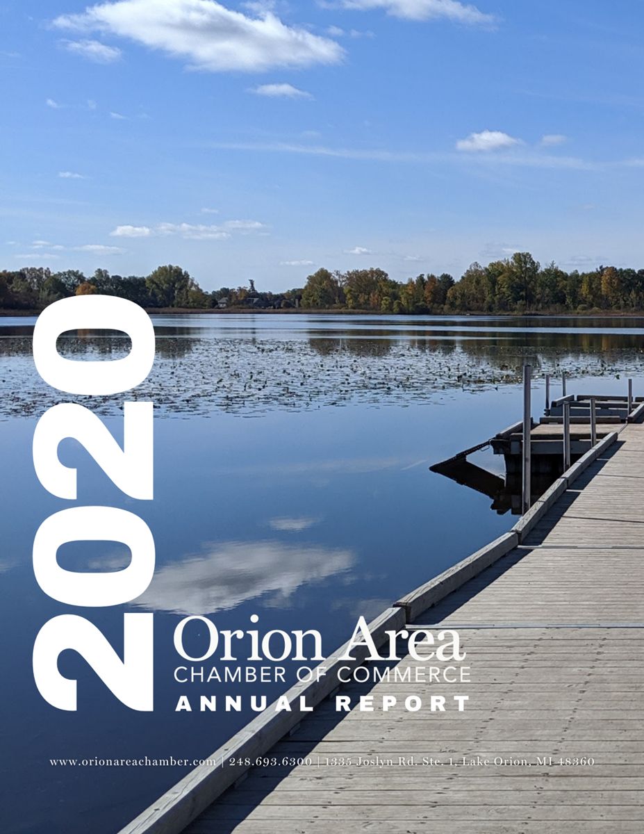 2020 Annual Report cover
