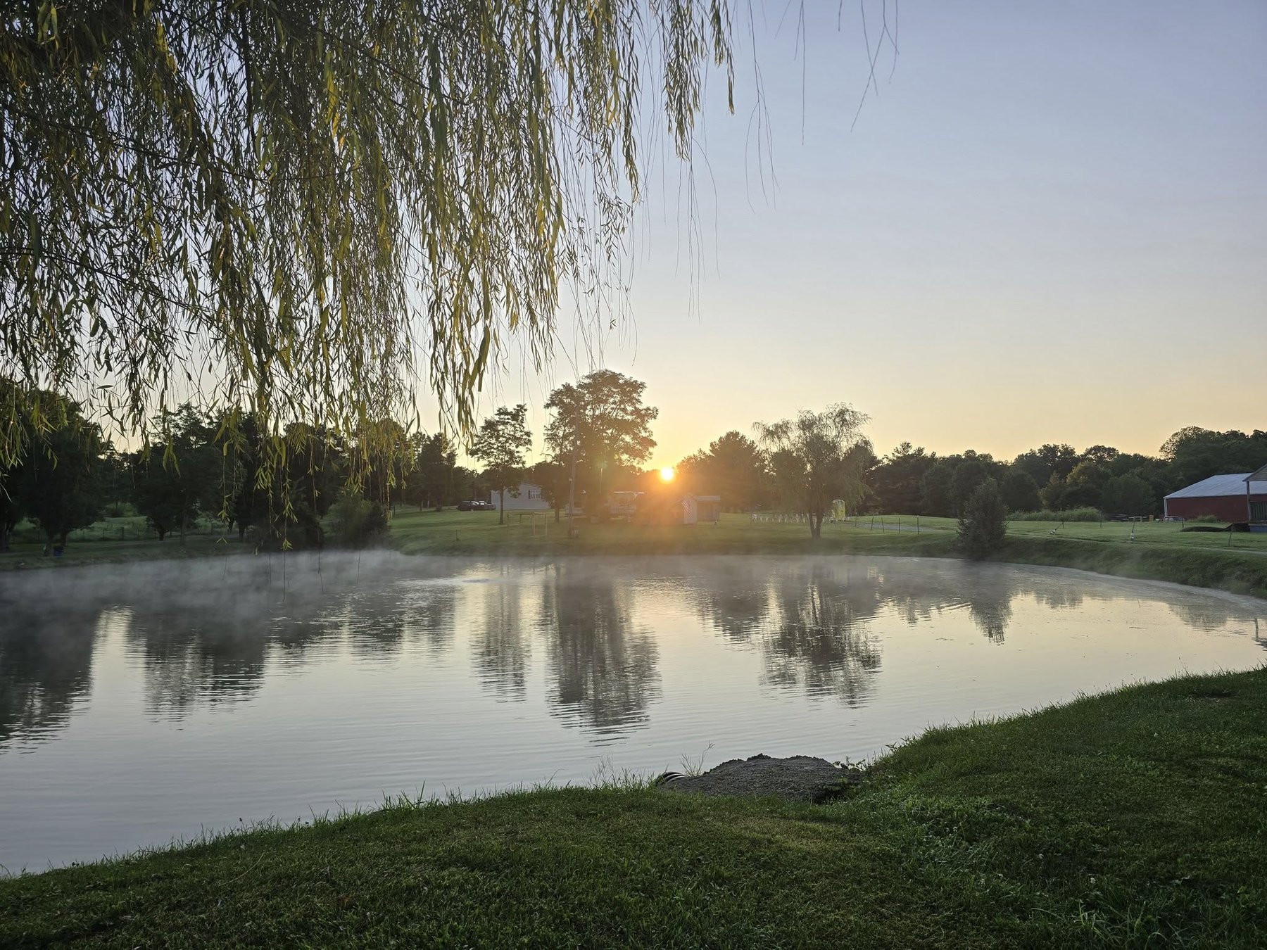 Sunrise over the pay lake with willows on the bank