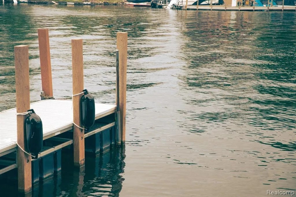 Lake Orion, Village of Lake Orion, 1