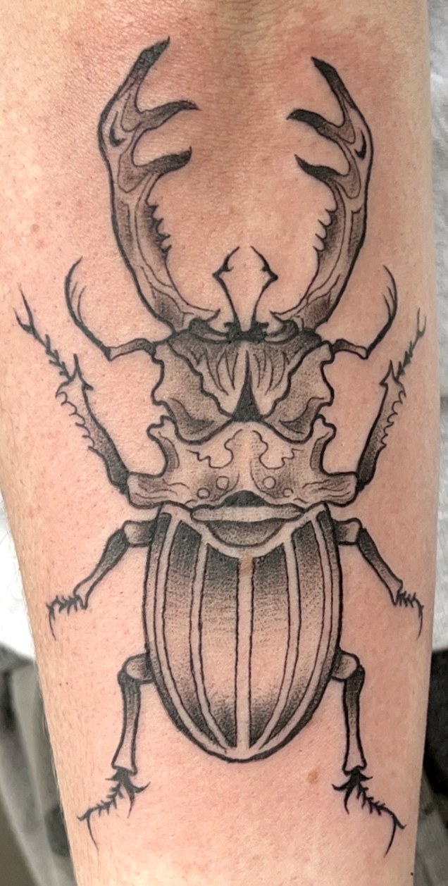 Fine line black and grey stag beetle