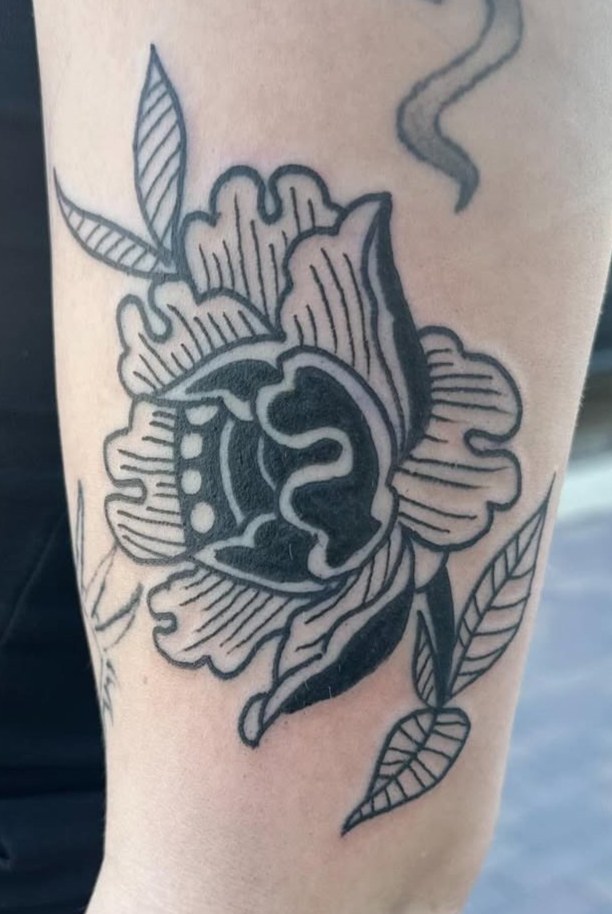 Traditional black rose with bold leaves