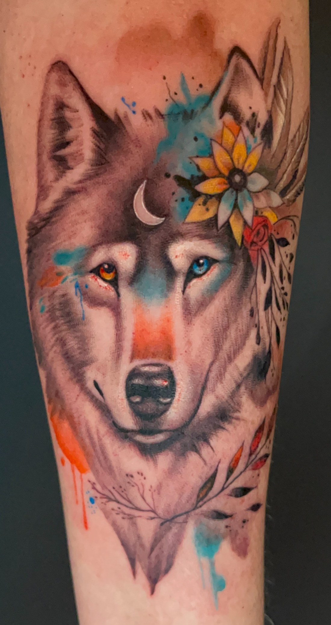 Wolf in colour realism with watercolour splash and a sunflower